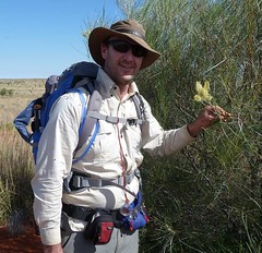 Day 3 - Photo 7: Sandhill Grevillea
