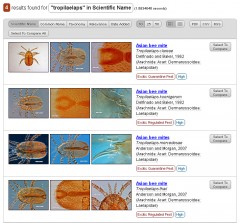 Genus overview