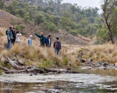 Great Eastern Ranges initiative activities Great Eastern Ranges initiative activities