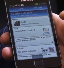 koala-count-app