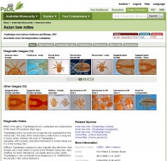 Species overview