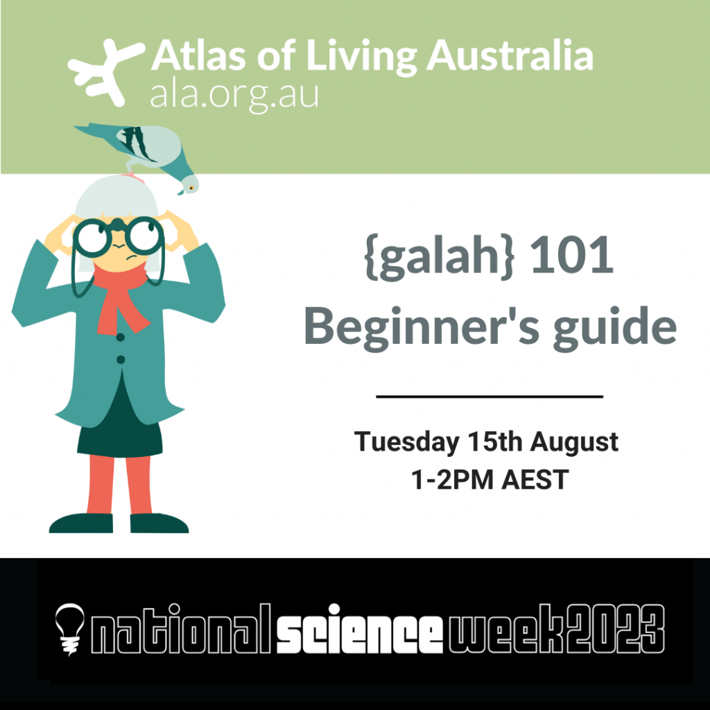 Green and white text with a graphic of a person with a pigeon on their head that reads galah 101 beginners guide.
