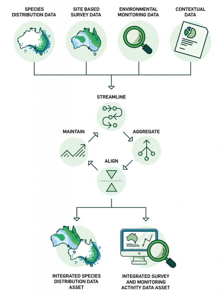 EcoAssets flowchart. Data from various sources, an arrow pointing to streamlined, aggregated, aligned and maintained, two arrows pointing to data assets