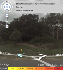 Example of a Street View sighting of a species Example of a Street View sighting of a species